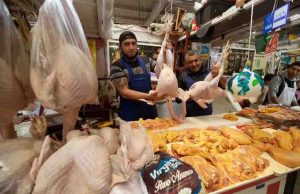 Se importa 94% de la carne de pavo