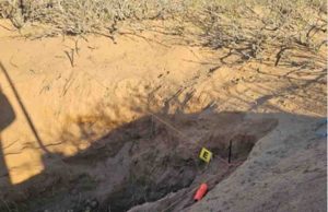 Hallan restos de 12 personas en 11 fosas clandestinas en Ascensión, Chihuahua