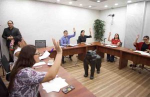 Comisión Permanente convoca a Segundo Periodo Extraordinario de Sesiones