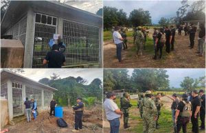 Aseguran tigre de bengala tras cateo en un rancho de Palenque: FGE