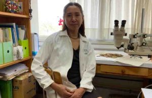 Brecha de género limita participación de mujeres y niñas en la ciencia: investigadora