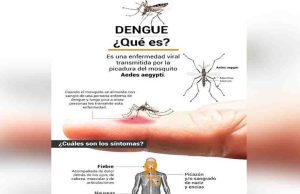 Se eleva a 82 los casos de dengue en Chiapas en lo que va del año