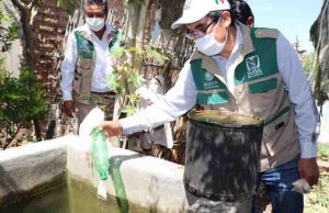 En lo que va del año, 34 casos confirmados de dengue en Chiapas