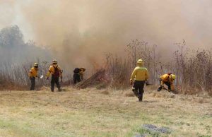 Se eleva a cinco los incendios forestales en Chiapas, este año