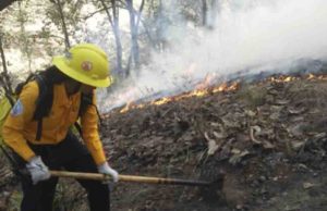 Del 1o de enero al 6 de febrero Chiapas reporta 4 incendios forestales