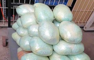 Incinera FGR 2.1 millones de pastillas de fentanilo decomisadas en BC y Sonora