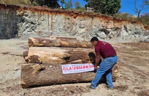 Profepa clausura 11 y desmantela 2 aserraderos ilegales; uno en SCLC