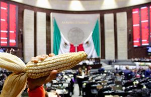 Diputados aprueban reforma para prohibir siembra de maíz transgénico