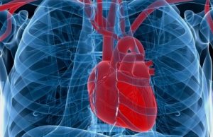 En 9 meses fallecieron en Chiapas 23 mil