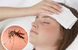 Se eleva a 95 los casos de dengue en Chiapas