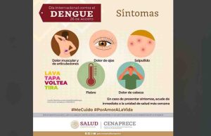 Se eleva a 108 los casos de dengue en Chiapas