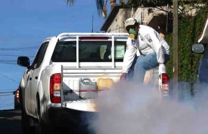 México suma 2 mil 432 casos de dengue y seis muertes
