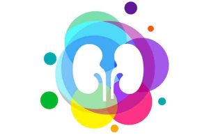 Casi 12 % de la población sufre enfermedad renal crónica en México