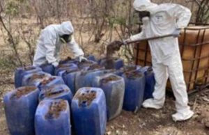 Fuerzas federales aseguran 10 narcolaboratorios en Sinaloa; van 50 en el mes de marzo