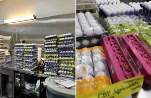 Incautan más huevos que fentanilo: crece su contrabando desde México por los enormes precios en EE.UU.