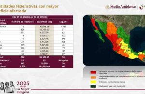 Treinta y un incendios forestales han arrasado 3,735 has en Chiapas