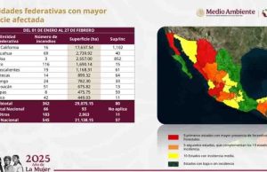 En lo que va del año, 8 incendios han arrasado 475 has. en Chiapas