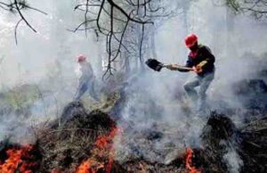 Chiapas, 4to nacional en superficie afectada por incendios forestales