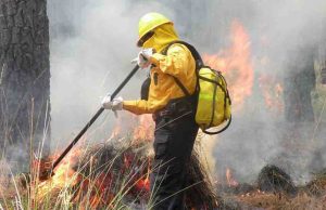 Mil 471 hectáreas han sido afectadas en Chiapas por 18 incendios forestales