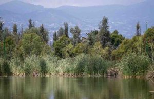 En manos de sólo 36 personas, 40 mil hectáreas de ejidos