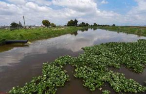 Piden desprivatizar el agua para garantizar un acceso equitativo y sustentable