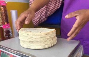 Estamos trabajando en diversas estrategias para reducir el precio de la tortilla: Sheinbaum