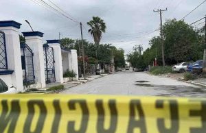 Abejas africanas matan a un hombre y a un perro en Tamaulipas