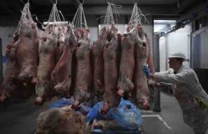 China cancela importación de carne de cerdo procedente de EE.UU. en respuesta a los aranceles de Trump