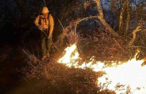 Conafor reporta 72 incendios forestales activos en México