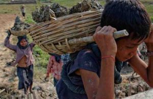 Rescataron en Guatemala 15 menores de explotación laboral en 2025