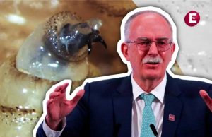 Plaga de gusano barrenador se le fue de control a EU: Berdegué